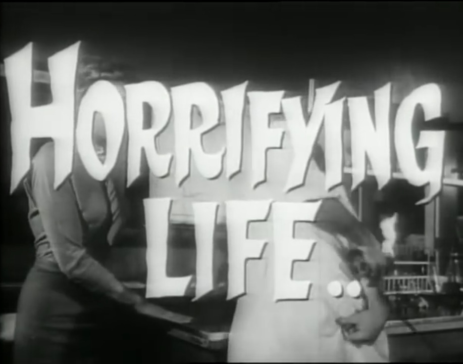 a titlecard from a mid-century film with the text 'Horrifying life'